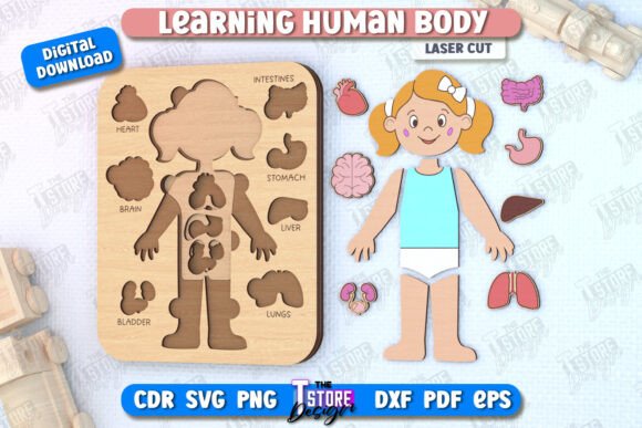 Kid’s Puzzle Anatomy Game for Laser Cutting Puzzles